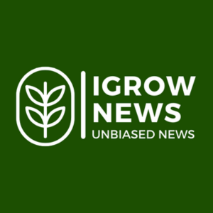 https://indooragtech.com/wp-content/uploads/2023/12/IGrow-News-MP.png